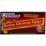 Brine Shrimp Eggs Box 50g