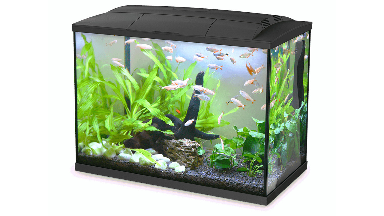 Hailea Aq Tank K60 - 60l