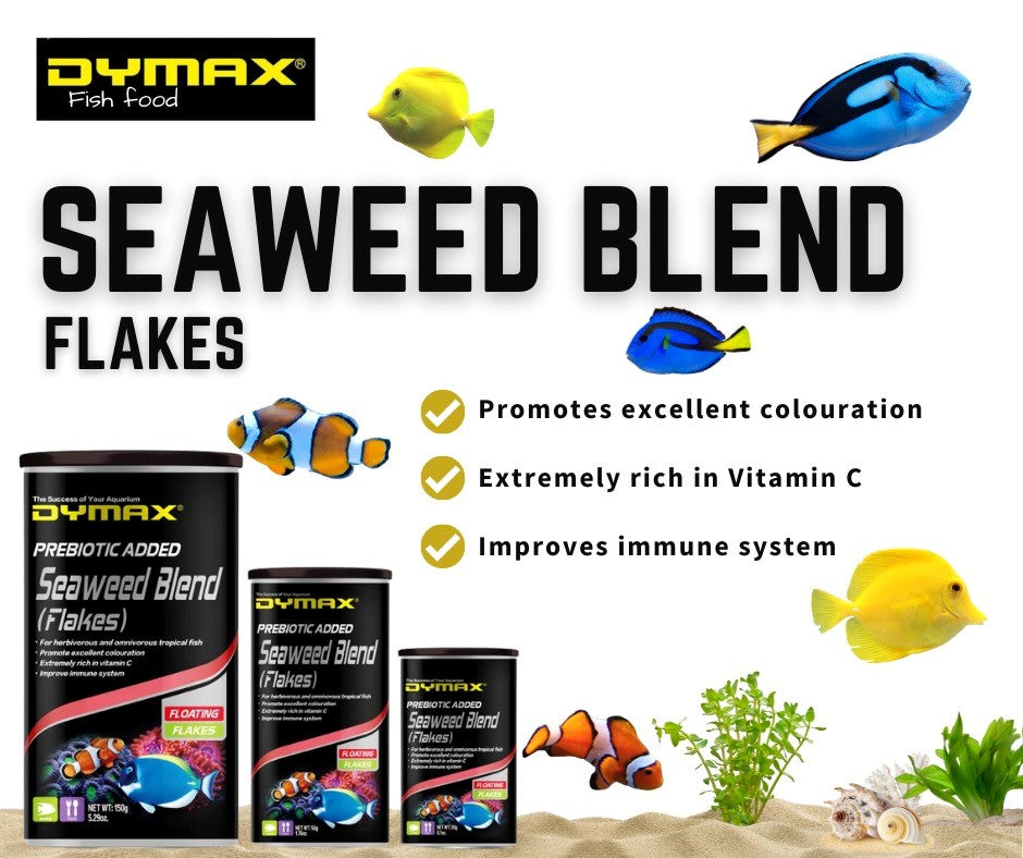 Dymax Seaweed Blend Flakes 20g