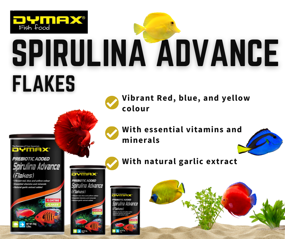 Dymax Spirulina Advance Flakes 20g