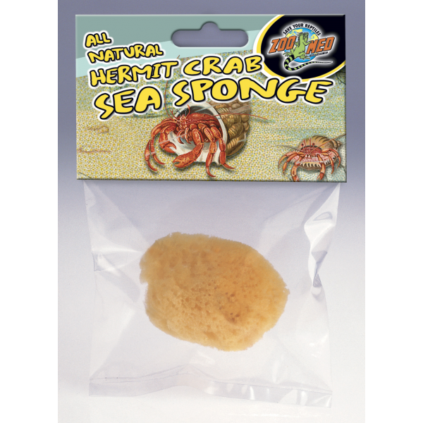 Hermit Crab Sea Sponges