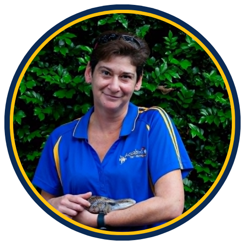 Aquabird Toowoomba
