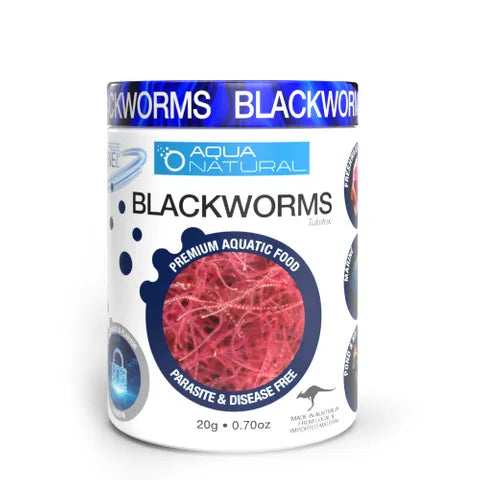 Aqua Natural Blackworm 20g