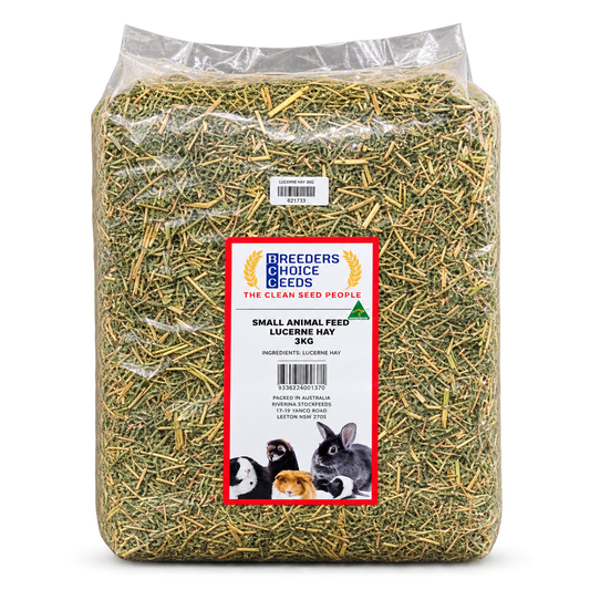 Breeders Choice Seeds Lucerne Hay 3kg compressed bale, nutrient-rich alfalfa hay for growing rabbits and guinea pigs.