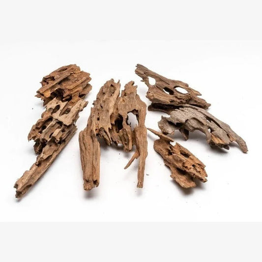 Dragon Driftwood