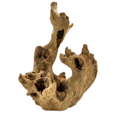 Driftwood piece on a white background