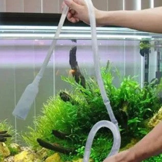 Person cleaning an aquarium with a hose
