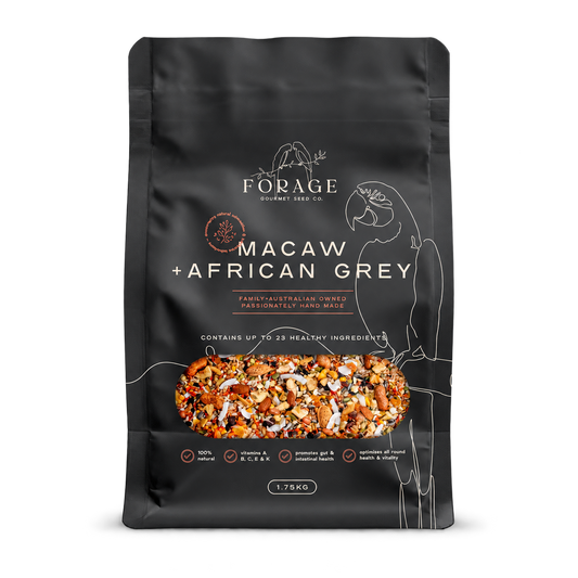 Forage Gourmet Macaw & African Grey 1.75kg bird seed mix in a black pouch, suitable for macaws, African Greys and Amazon parrots.