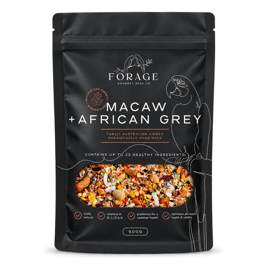 Forage Gourmet Macaw & African Grey 500g bird seed mix, a blend of seeds, nuts, grains and dried fruit for macaws, African Greys and Amazon parrots.
