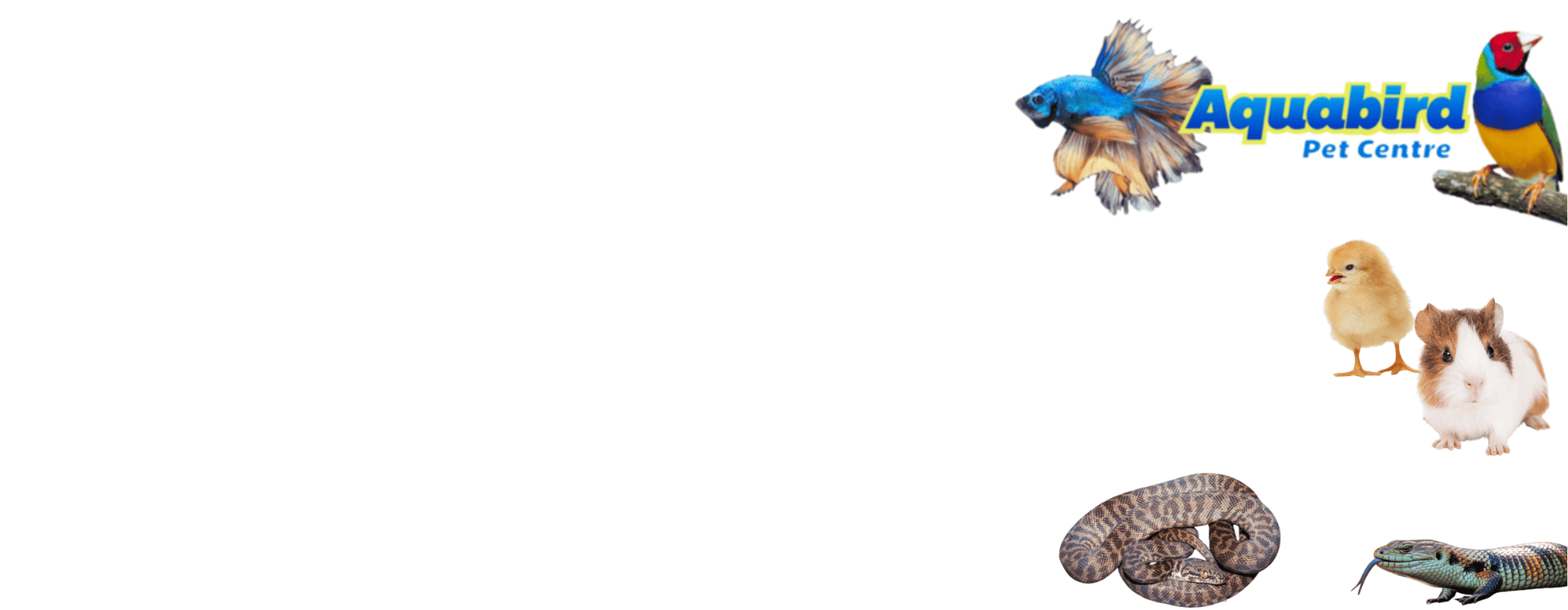 Aquabird Pet Centre logo with cartoon birds and animals on a white background