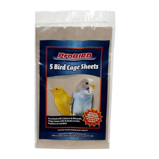 Sand Sheets With Grit - Large