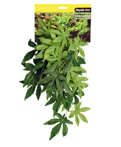 Hanging Sativia Green - 70cm
