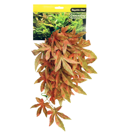 Hanging Sativia Red 70cm