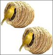 Canary Straw Nest Small 4"