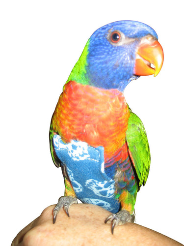 Birdie Poop Suit - Large