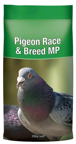 Pigeon Race And Breed Mp