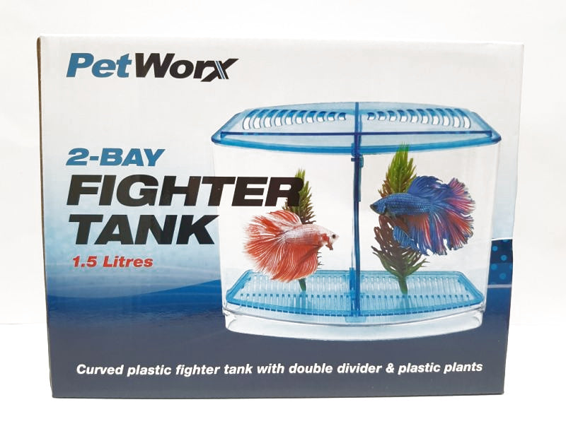 Betta Fighting Fish At Tank 2 Bay Plastic