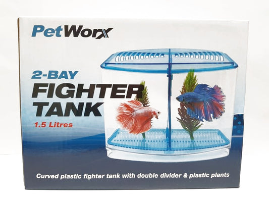 Betta Fighting Fish At Tank 2 Bay Plastic