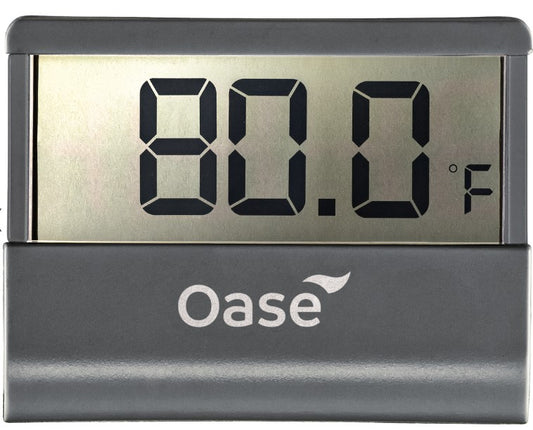 Oase Digital Thermometer | 43957