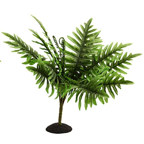 Reptile One Plant Reptile Sword Fern 40cm 46762
