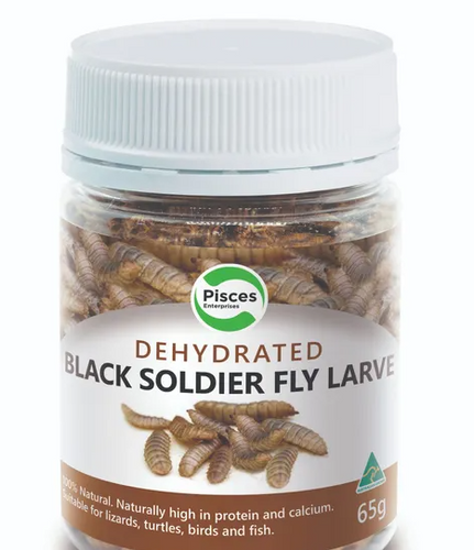 Dehydrated Black Soldier Fly Larvae