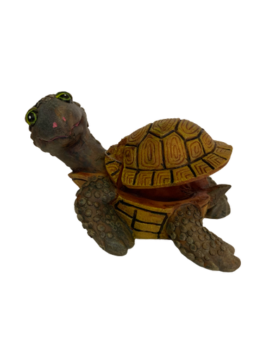 Aerated Tortoise 13x9x7.5cm