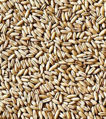 Hulled Oats 1kg