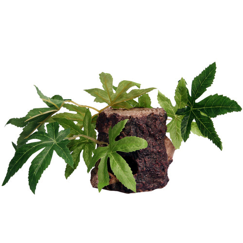 Reptile One Sativa On Resin Log 10x10x9cm