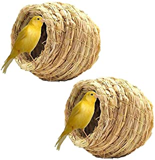 Canary Straw Nest Medium 5