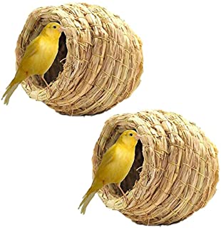 Canary Straw Nest Medium 5"