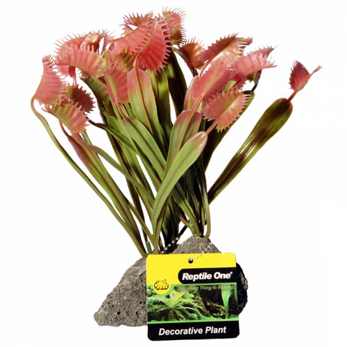 Venus Flytrap Ornament With Pumice Base