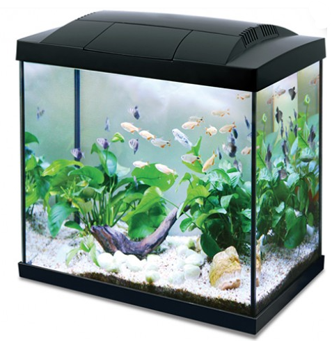 Hailea K45 Aquarium