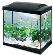 Hailea K45 Aquarium