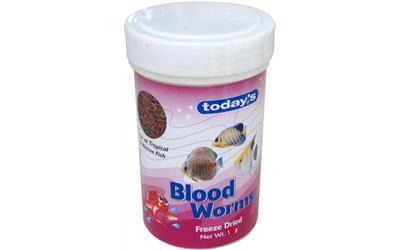 Bloodworms Freeze Dried Today's - 20g