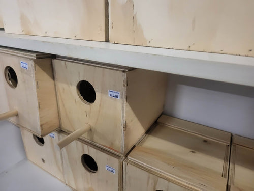 Budgie Nest Box