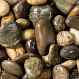 Turtle & Axolotl Pebbles 5kg