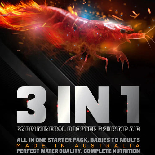 3 In 1 Shrimp Starter Pack