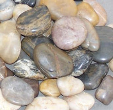 Load image into Gallery viewer, URS Frog Rocks