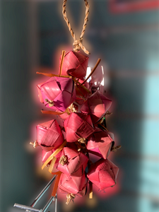 Nino's Java Bird Toy - Palm Nuts