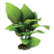 Silk Plant-sword Radicans 13cm