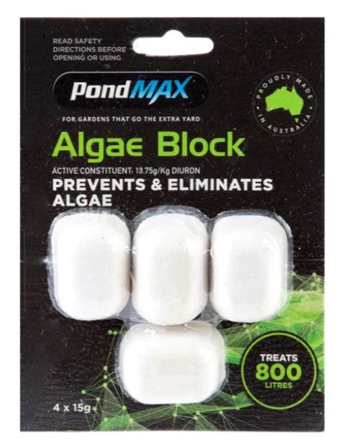 Pondmax Algae Block 60g