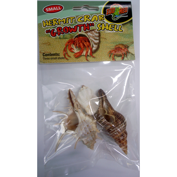 Hermit Crab Growth Shell - Small 3pk