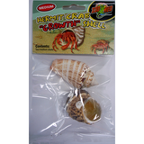 Hermit Crab Growth Shell - Medium