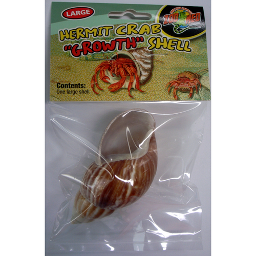 Hermit Crab Growth Shell - Large