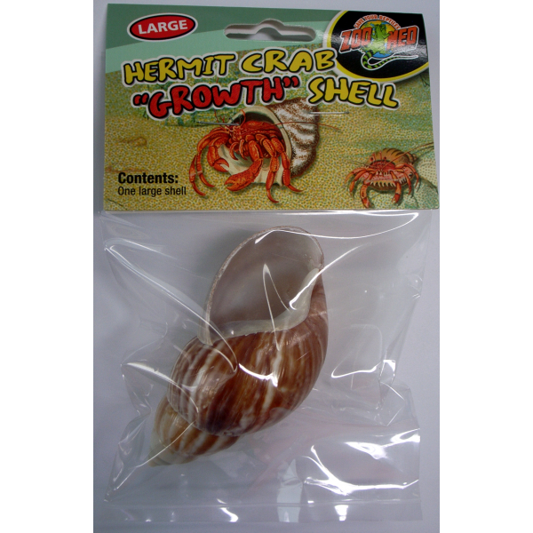 Hermit Crab Growth Shell - Large