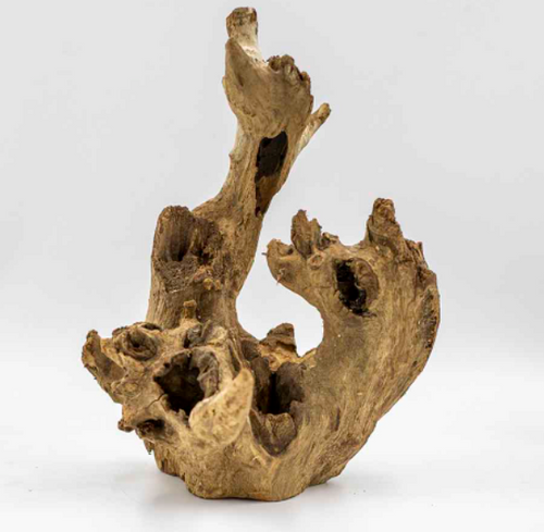 Nino's Java - Crown Wood Small