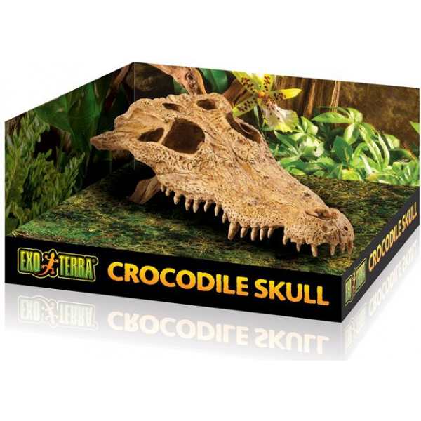 Exo Terra Crocodile Skull Ornament Medium