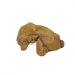 Exo Terra Large Reptile Hide