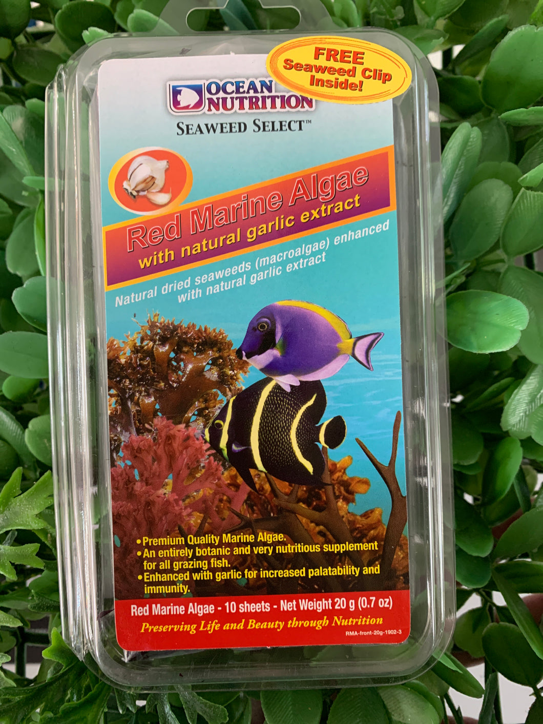 ocean nutrition red marine algae 20g 10 sheets