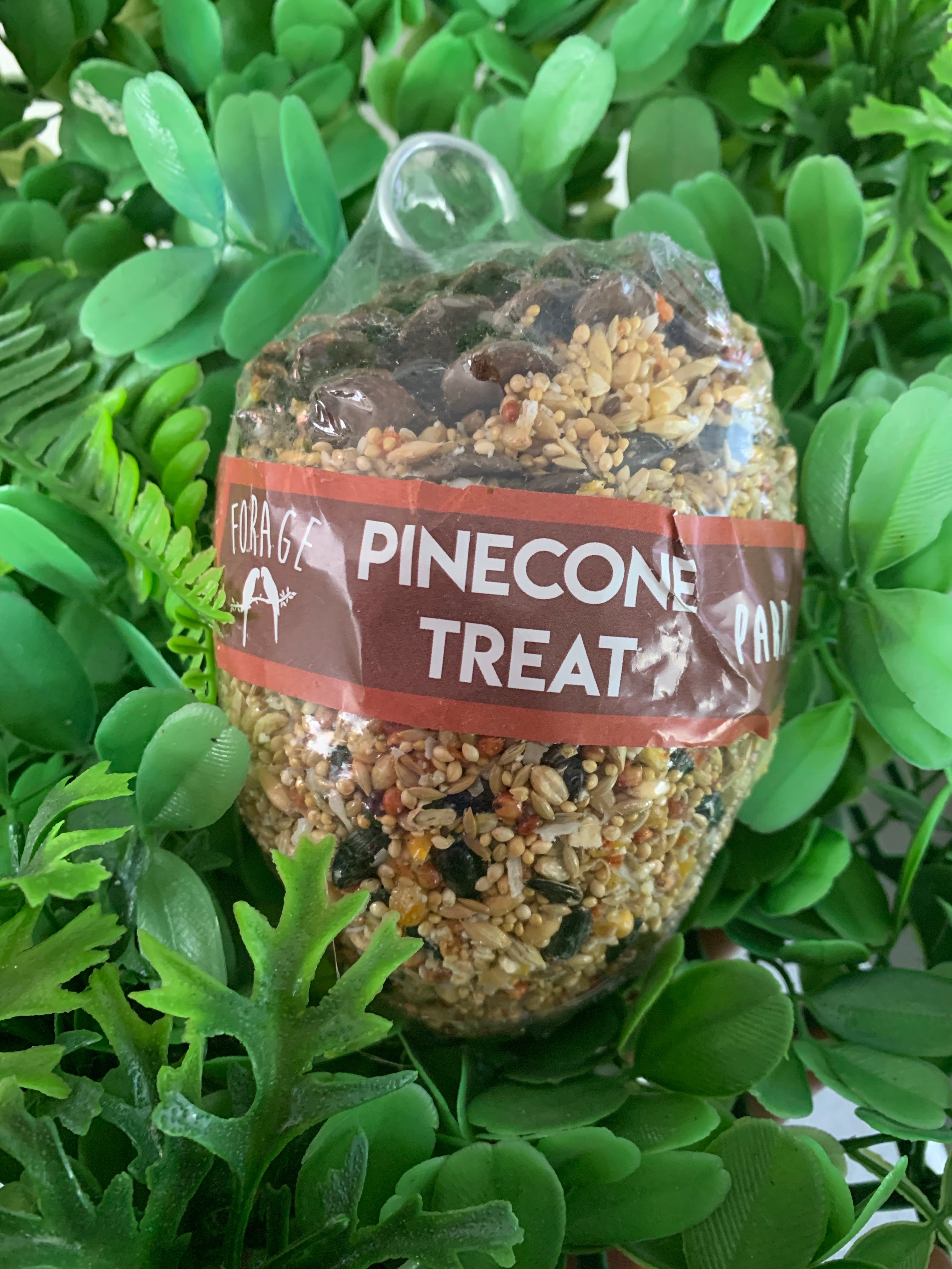Pine Cone Treat Parrot - Large